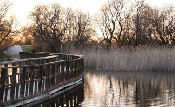 Las Tablas de Daimiel